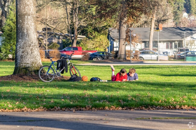 The shaded grassy areas of University Park are a great place to hang out in South University.