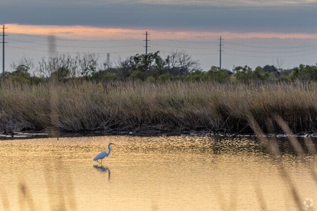 Baytown Nature Center offers residents a place to kick back and take in nature.