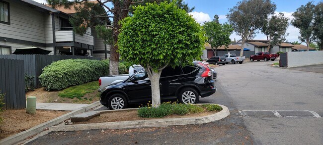 Apartments with lots of parking at Dove Ridge Apartments.