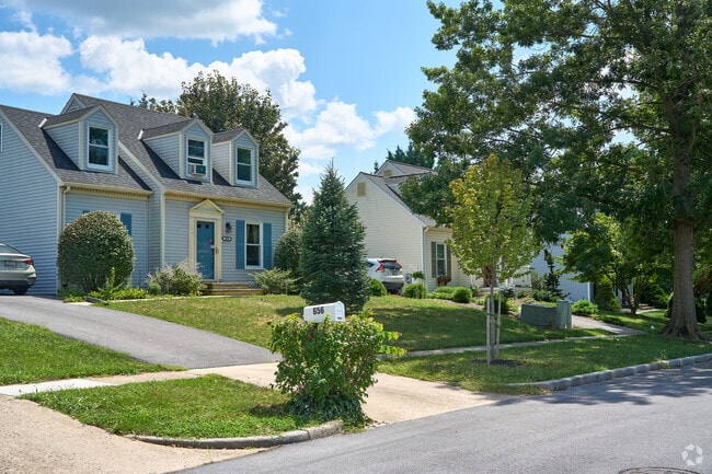 Rows of Cape Cod–style homes line a shaded, tree-filled street.