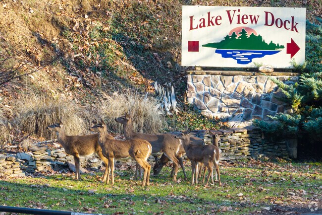 Bristol is located in the foothills of the Blue Ridge Mountains.