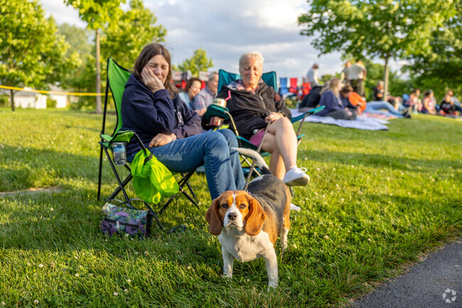 Experience the beauty of summer at Central Park. Don't miss out on live music, delicious food and fun activities for the whole family.