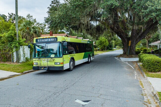 Chatham Area Transit offers numerous bus routes throughout the area.