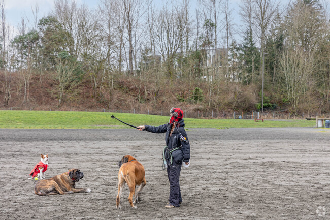 Riverview's Grandview Off-Leash Dog Park is a popular spot for folks and their pups.
