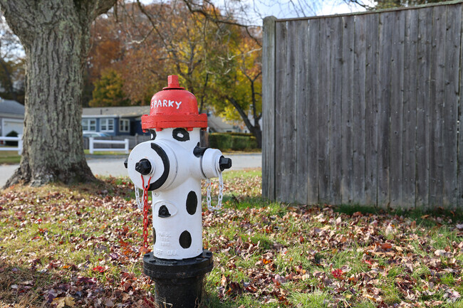 Painted fire hydrants add to personality of the Upper Walnut Street neighborhood.