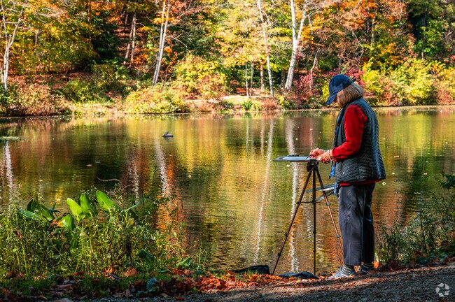 A scenic overlook at Mills Creek Park offers inspiration for painters and nature lovers.