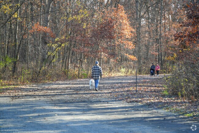 Residents of Leroy enjoy walking through tree filled streets.