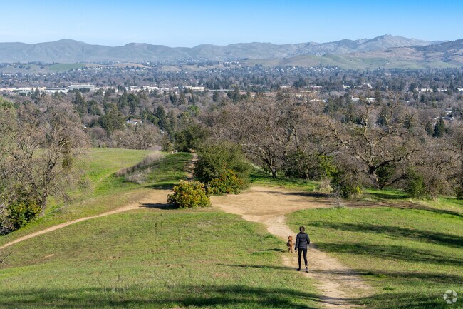 Dinosaur Hill in the Reliez Valley Area offers fun hiking trails with stunning views of the Bay Area.