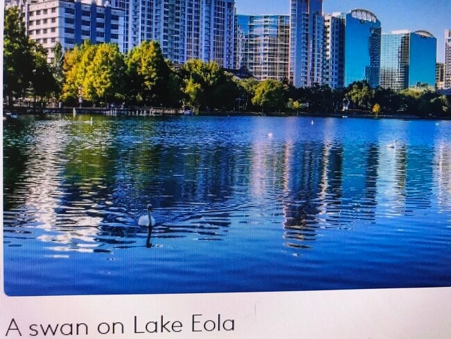 Lake Eola has swan paddleboats and real swans