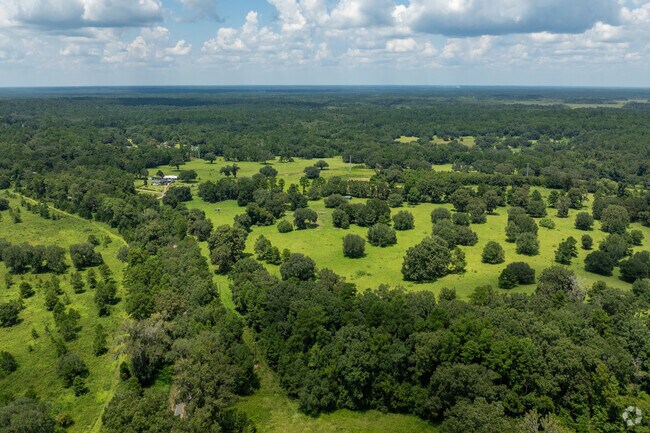 Lake Iamonia neighborhood borders Georgia and is only about 25 minutes from Tallahassee.