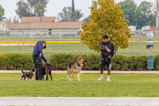 The dog park in Rainbow Ridge has space for dogs and humans to stretch their legs.