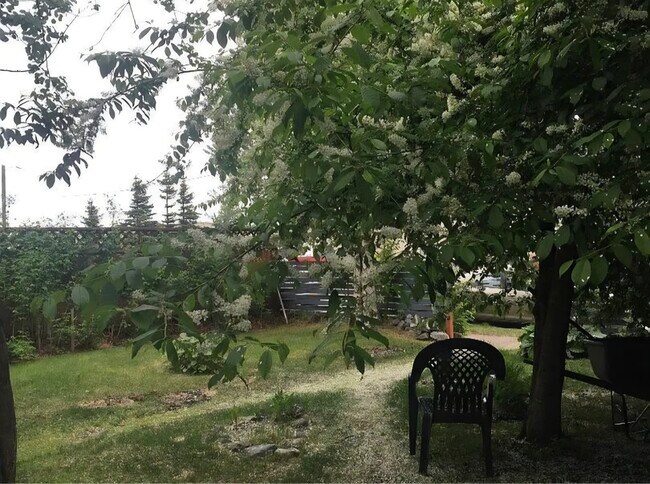 1426 Orca St unit 3, Anchorage, AK 99501 - photo 6