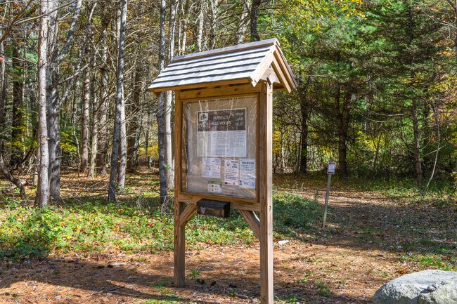Russells Mills Woods Reserve in Great Neck offers forest trails for year-round hiking.