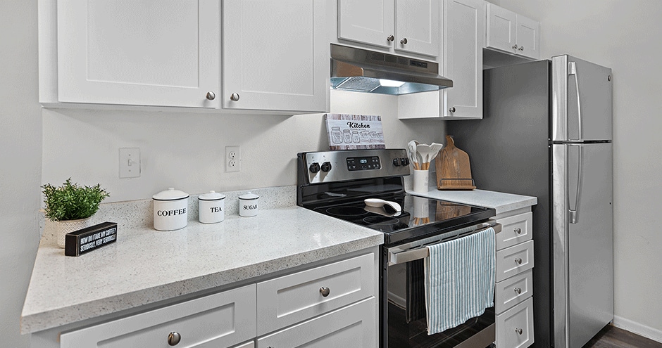 Promenade at Summer Trace Apartments, New Port Richey, FL 34653 - photo 1