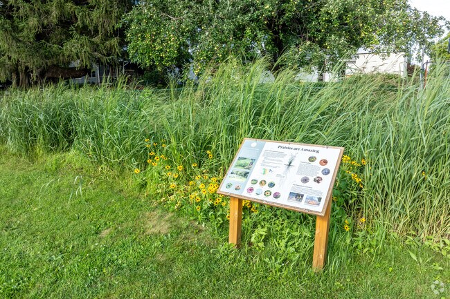 Willowwind School features two prairie plots where students can learn about plants and insects.