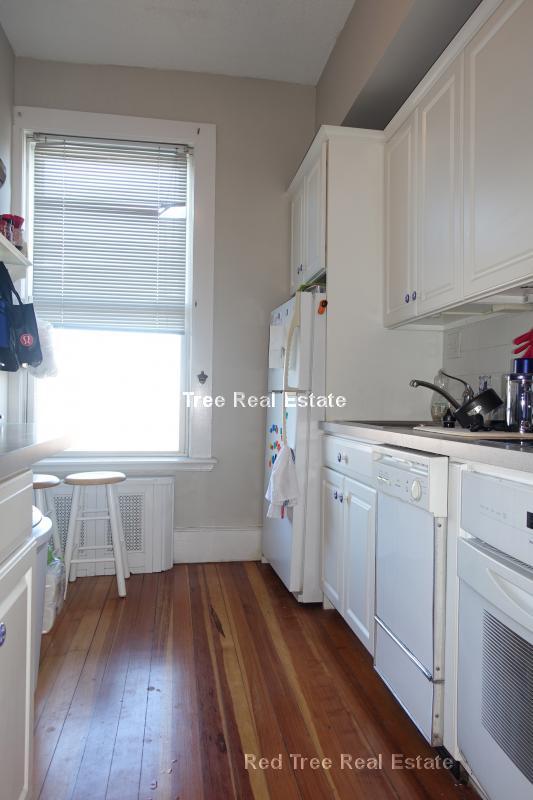 554 E 4th St unit 3, Boston, MA 02127 - photo 4