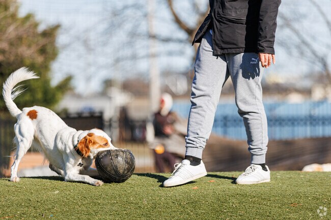 The fenced in dog park at Latrobe Park in Locust Hill is open to all friendly dogs.