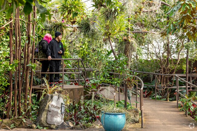 The Garfield Park Conservatory is one the largest conservatory in the United States.