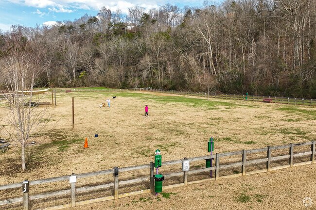 Kingston Springs Park welcomes dogs of all sizes.