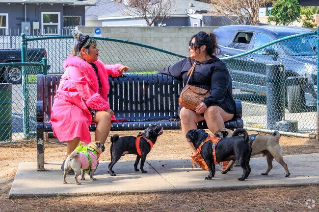 Taking the little ones to the Coolidge Dog Park for some fun.