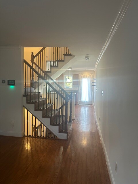 1520 Byrd St, Baltimore, MD 21230 - photo 5