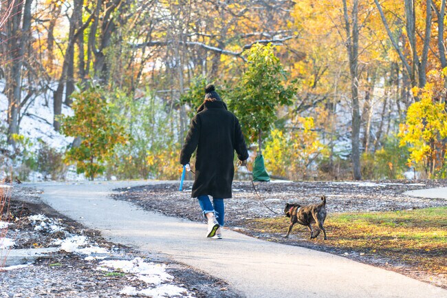 White Oak residents are able to go on lovely walks with their dogs on the woodland trails.