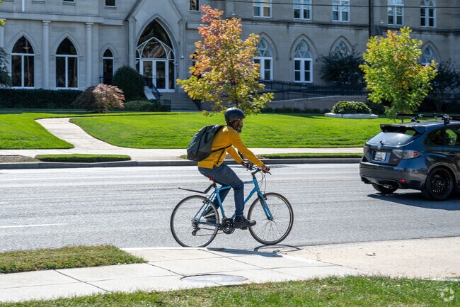 A cyclist going down Michigan Ave NE in Catholic University.