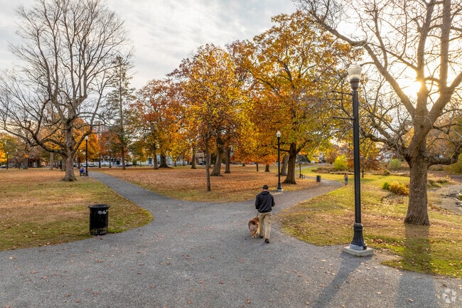 A person walks their dog along a gravel pathway in Elm Park.