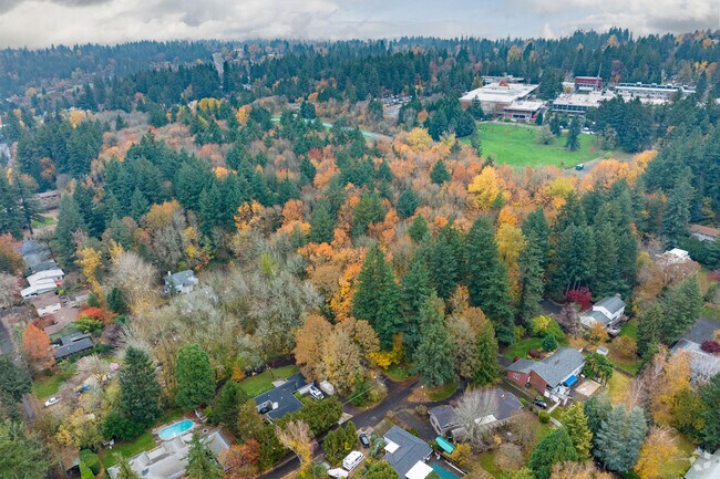 Wooded Lesser Park provides open space in Portland's Far Southwest.