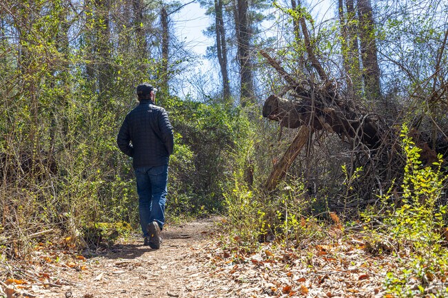 Residents can enjoy a hike through the forest at the Hampton Watershed Trails located in Hampton, TN.