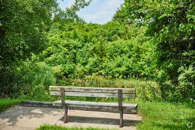 Throughout Briarwood, pockets of undeveloped nature offer spots for quiet contemplation.