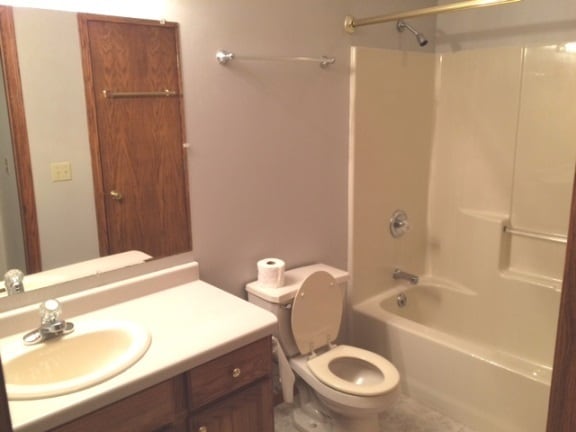 linen closet in main bath