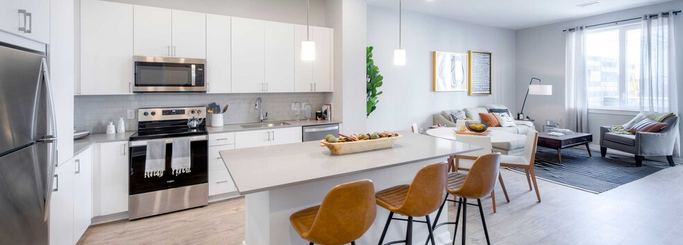 Scheme 1 Kitchen and Living Area