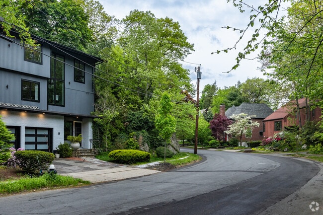 Modern and classical home styles line the leafy streets of Brookline.