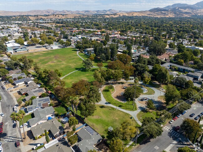 Gazing down on the serene beauty of Cambridge Park.