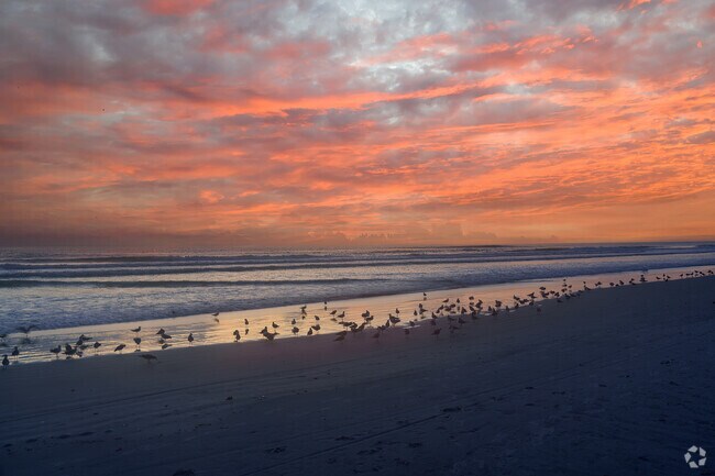 Experience a majestic sunrise at New Smyrna Beach, minutes from Turnbull Shores.