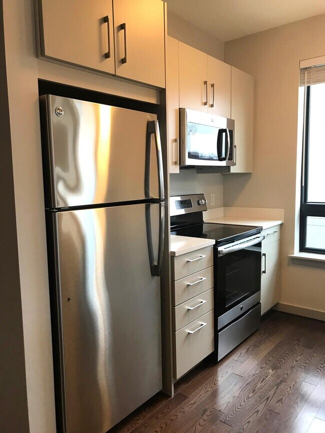 45 Marion St unit 502, Brookline, MA 02446 - photo 3