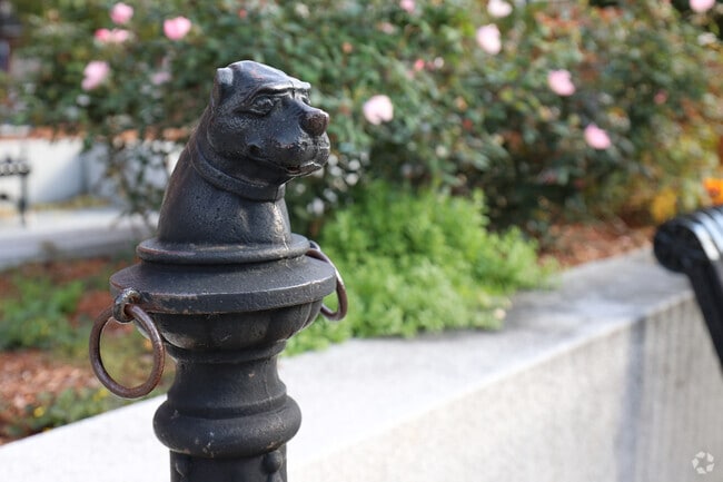 A dog tie can be found outside city hall in the Merrimack College neighborhood.