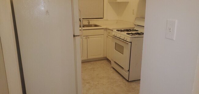 6519 S Eberhart Ave unit 1, Chicago, IL 60637 - photo 6