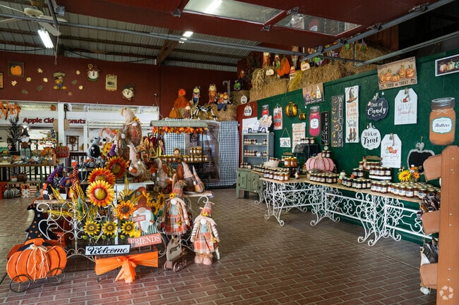 DuPage’s Johansen Farms offers home-baked treats like pies, pastries, and jams.