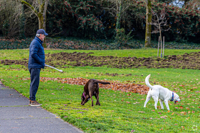 Groveland is a great place to get out and enjoy the neighborhood with your pets.