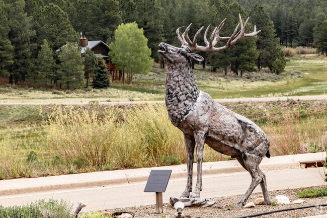 Angel Fire was founded in 1986 with great adventure activities available all year round.