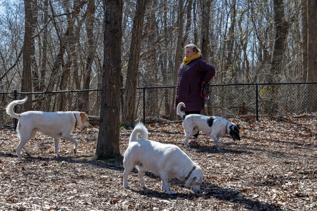 The East Providence Dog Park allows pets to roam and play off-leash in Carpenters Corner.