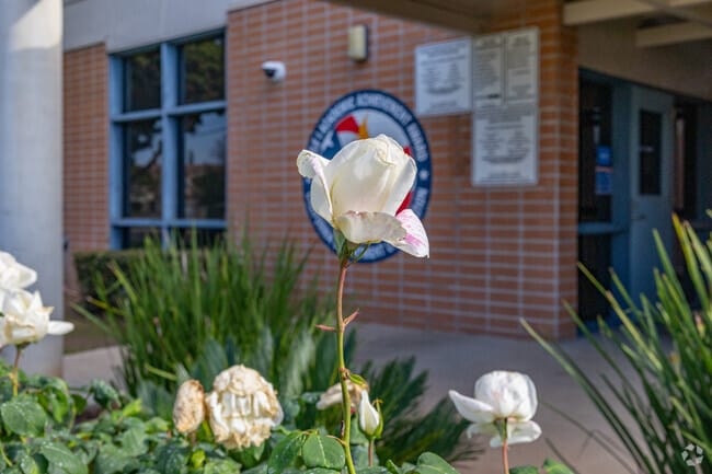 Prospect Elementary School has a great atmosphere for learning.