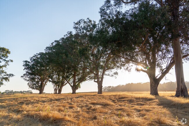 The fields at Point Pinole Regional Park in Hilltop/Montalvin, Richmond, CA