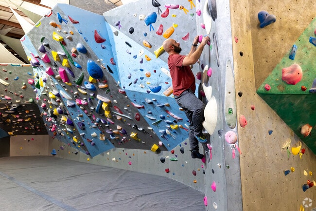 Challenge yourself at the Springs Climbing Center next to Venetian Village.