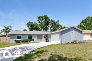 14051 Briardale Ln, Tampa, FL 33618