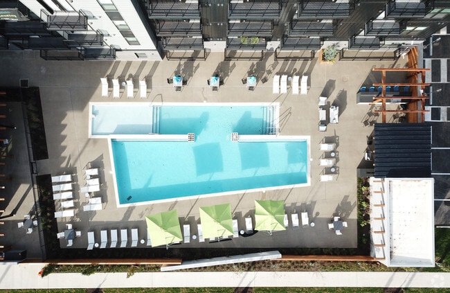 Birds Eye - Pool