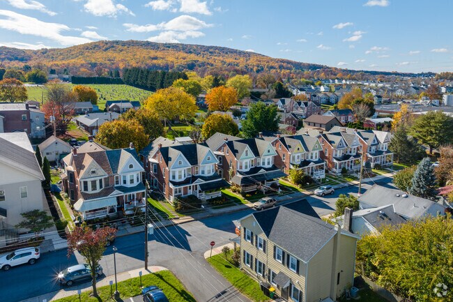 Homes in Lower Macungie West have true variety with duplex row homes most common near downtown.