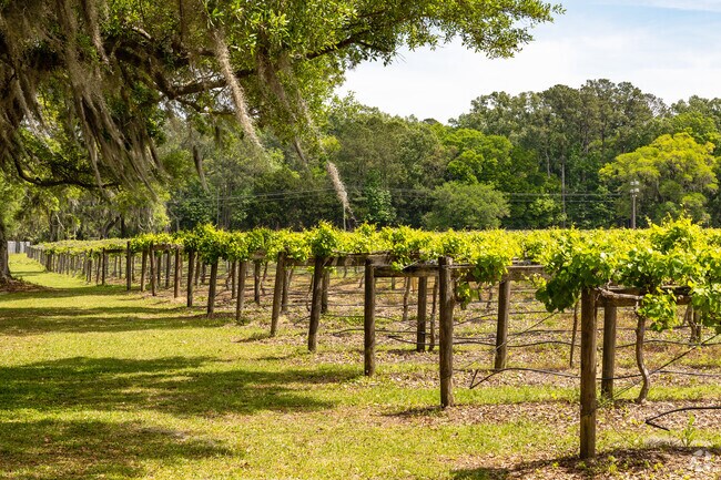 Scenic vineyards and shaded trails welcome visitors to Wadmalaw Island.